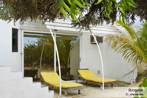 Nautilus : Photos nature, mer, hôtel, restaurant, bar, mer